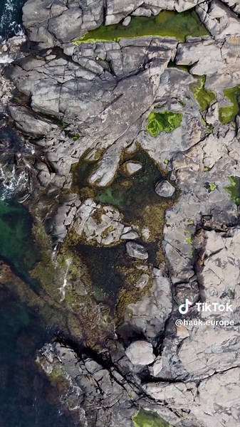 HAUK on TikTok