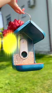 432 reactions · 70 shares |  It’s here — Birdbuddy’s Black Friday Sale! Get up to 50% OFF the world’s first smart bird feeder   Capture stunning HD photos & videos  Get real-time alerts when birds visit  Identify 1000+ species automatically Thousands of bird lovers already use Birdbuddy to reconnect with nature — now’s your turn. Hurry — this deal ends soon! | Birdbuddy | Facebook