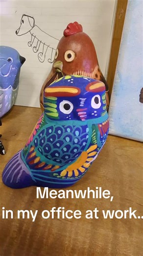 Well. 🤷‍♀️🤣 #birds #whitepeople #bird #quakerparrots #birdwatching