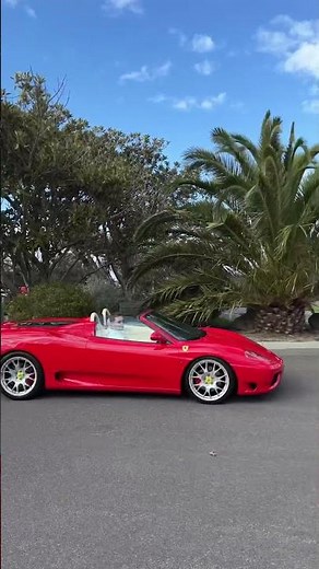 Ferrari 360 Spider