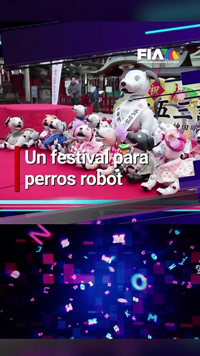 Un festival para los perros robot 🐶 En #Tokio, se celebró un evento muy festival muy futurista, en el que perros robots fueron vestidos con kimonos para celebrar el shichi-go-san. Esta es una tradición japonesa en la que padres de familia llevan a sus hijos de 7 a 11 años, para pedir que tengan una vida larga y próspera. Toda la información en #HuellitasYRabitos. 🐾 #AztecaNoticias #Noticias #Información #LoUltimo #UltimasNoticias #viral_video #ParaTi #TikTokInforma #TikTokMeHizoVer #LoDescubrí