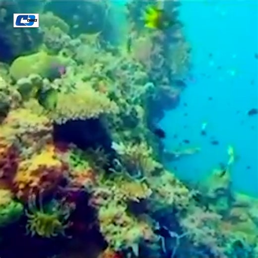 398K views · 8.5K reactions | CD Choice Music on Reels | Facebook