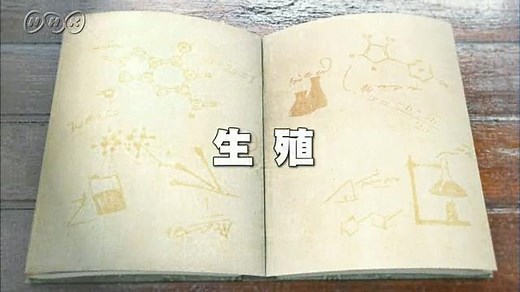 生殖 | １０ｍｉｎ．ボックス　理科２分野 | NHK for School