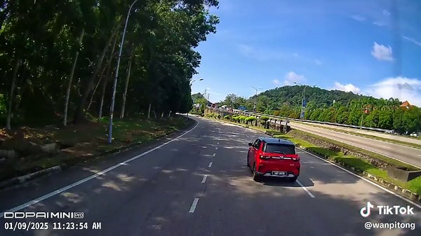 Hilarious Compilation of Dancing Cows