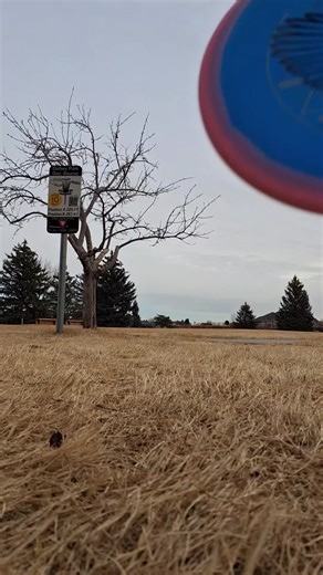 First throw with the Stokely discs Wren approach and putter. Hole 10 203ft par 3. I parked it, 193ft drive. I highly recommend this disc