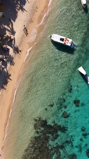 Paradise Cove | Luxury Island Resort | Fiji on Instagram: "Out of Office 🪸"