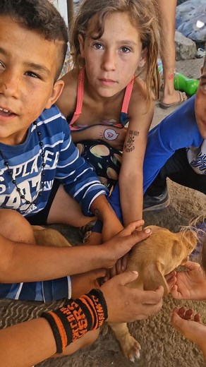 I love this little Random clip, my daughter Iris connecting with children in Baraki over a love for the stray animals and then Bosko comes to life for the camera and shows off a little piece of his larger than life personality ❤️ | Anna Erickson-hull