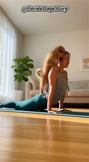 Woman Does Yoga… Puppy Tries Too (On Her Back 😂) 🐶🧘‍♀️ #shorts
