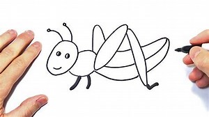 【 Cómo dibujar Un Grillo Para Niños 】 Paso a Paso Muy Fácil 2025 - Dibuja Fácil