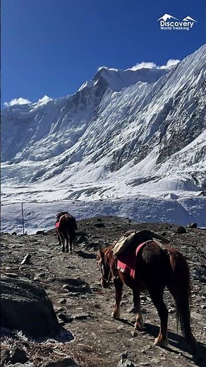 POV: You finally booked dream trek in Nepal
