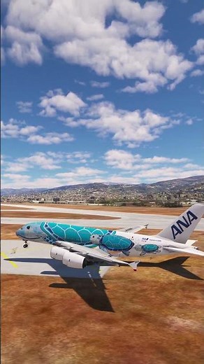 the pilot's actions endangered the plane's passengers EP05