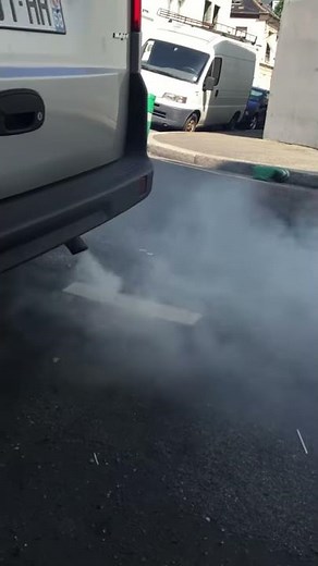 Problem Fiat DOBLO 1.3 jtdm multijet