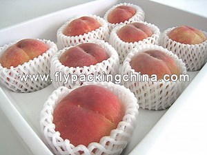 [Hot Item] Fruit EPE Foam Net (Packing Peach)