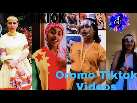 Sirba afaan oromoo haaraa 2023: Oromo music | Oromotiktok