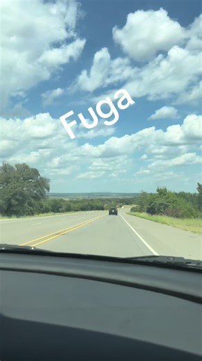 Explore the LIVE Incentive Program Benefits