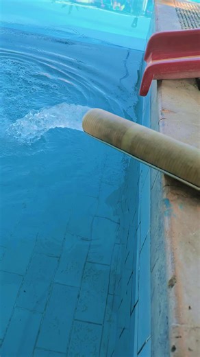 Enjoy a Fun Picnic with Family and Friends in Pakistan