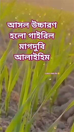 Read Surah Fateha with correct pronunciation #subscribe #youtubeshorts #public #Islamic short#lov...