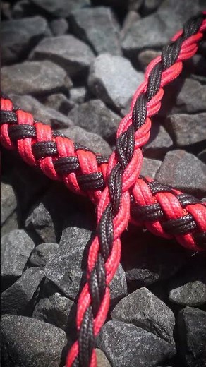 What's the STRONGEST Whip for Chain Training?