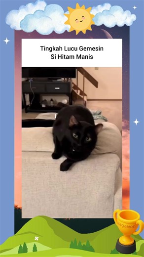 Si Hitam yang Lucu tapi Misterius