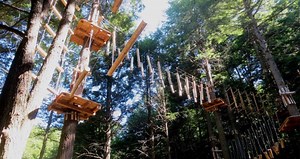11 Unique Ropes Courses and Aerial Adventure Parks in 2023
