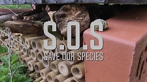 91K views · 777 reactions | Stuck for something to do this Bank Holiday weekend? How about building a 'bug hotel' to make your garden more wildlife friendly? Let us know if you have a go! | BBC Springwatch | Facebook