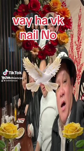 Dat Nguyen SG (@datnguyen39_)’s videos with nhạc nền - Dat Nguyen SG