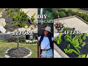 FRONT YARD MAKEOVER ON A BUDGET | FULL DIY FOR BEGINNERS | VLOG | HOW TO | TUTORIAL