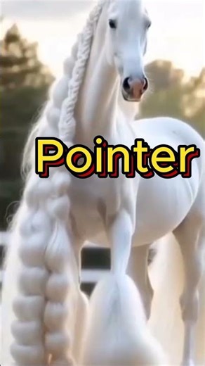 Bulloon Garmamu Tola #beginnertoadvanced #cplusplus #brocode #learncoding #c #programming