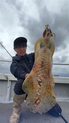 Monster Cuttlefish Catch in Open Waters | Rare Ocean Encounter