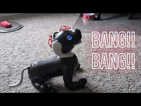 aibo ERS1000 - Comparing "Roll Over" to "Play Dead" (or "Bang, Bang")