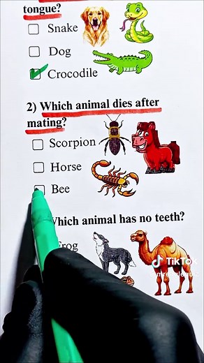 Animal Quiz Challenge: Test Your Knowledge!
