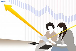 What is an IPO prospectus & how does it help with investment decisions?