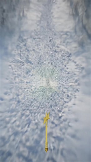 Exploring the Woods: A Day with Nature and Wildlife