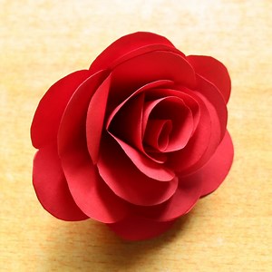 9.8K views · 159 reactions | Super Cool Paper (Rose) Crafts You'll Want To Make  | KS Kitchen & Lifestyle | Facebook