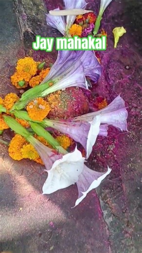 जय mahakal #shivmandirakhadakarala #love #music #hindi #hindisong #shortvideo