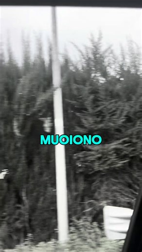 16K views · 366 reactions | I #nonni non muoiono | Marcus Navajo | Facebook