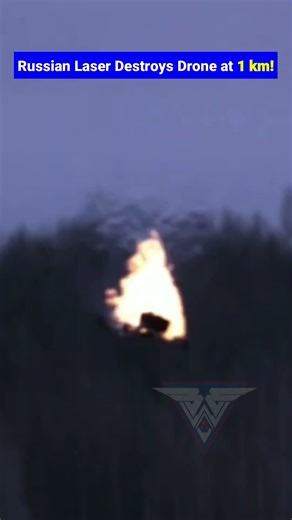 FPV Drone Intercept at 1km Burned by Russian Laser