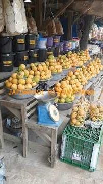 JATIWANGI TO SUMEDANG - Tour de Java-Madura-Bali - Days 81 #tour #cycling #jawa #happy #SHORTS #OK