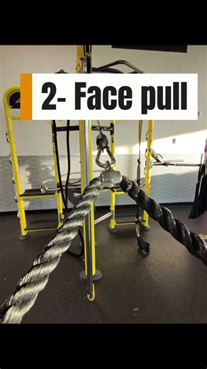 Today is Triceps and Back Day 💪