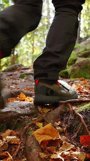 Fall Macro Photography In 🍁 Tips, Gear & Stunning Macro 4K Video