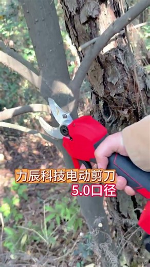 5.0-caliber electric pruning shears easy to handle pruning of peach and pear trees practic