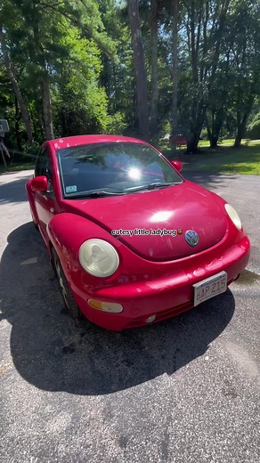 Adorable Volkswagen Beetle Transforming into a Cutesy Little Ladybug