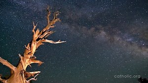 Personal Prayer HD | Catholic Online