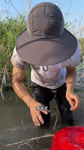 Pretty stubborn, huh! This guy's pretty fierce. Keep searching, turn over every single spot, none...