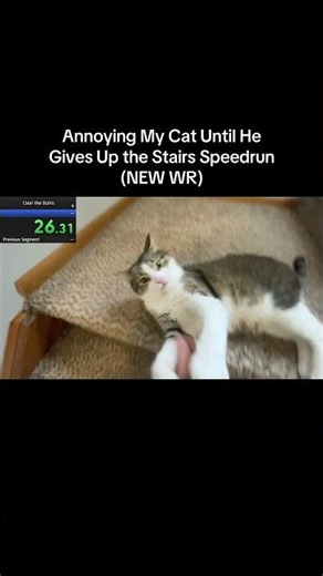 New world record