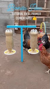 1.7M views · 24K reactions | Comedero para gallinas旅 muy fácil de hacer. tutorial en el primer comentario ‍♂️ | Bonita Idea | Facebook