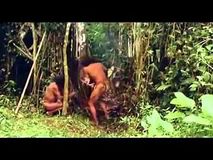 Cannibal Holocaust In the Amazon clip0 avi