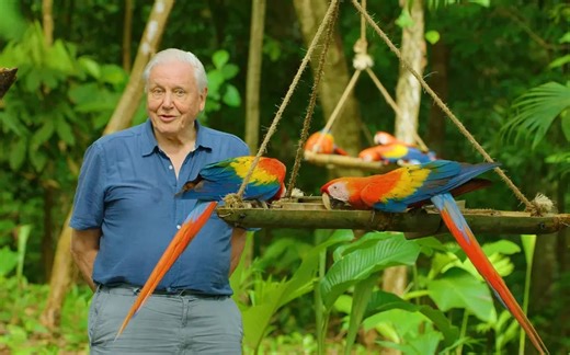 纪录片《生命之色》（Life In Colour）全3集（中字）