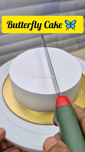 Oops 😭😭 Butterfly Cake Decoration 🦋😍😪 #viralcake #FacebookPage #mydreamcakery #cake #cakedesign #birthdaycake #viralreels #butterflycake | My Dream Cakery