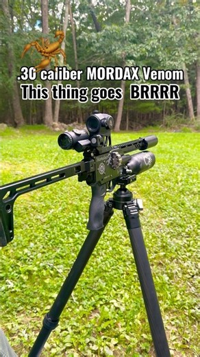 .30 cal mordax venom airgun VS wood